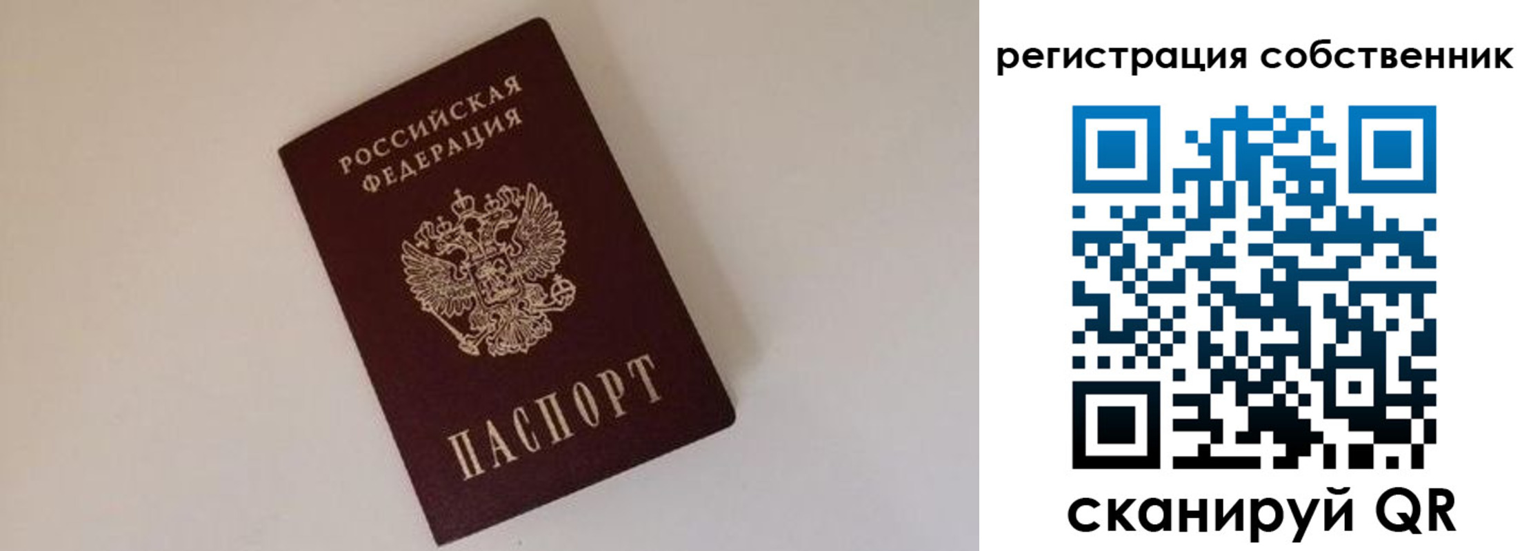 временная регистрация надежно в Видном